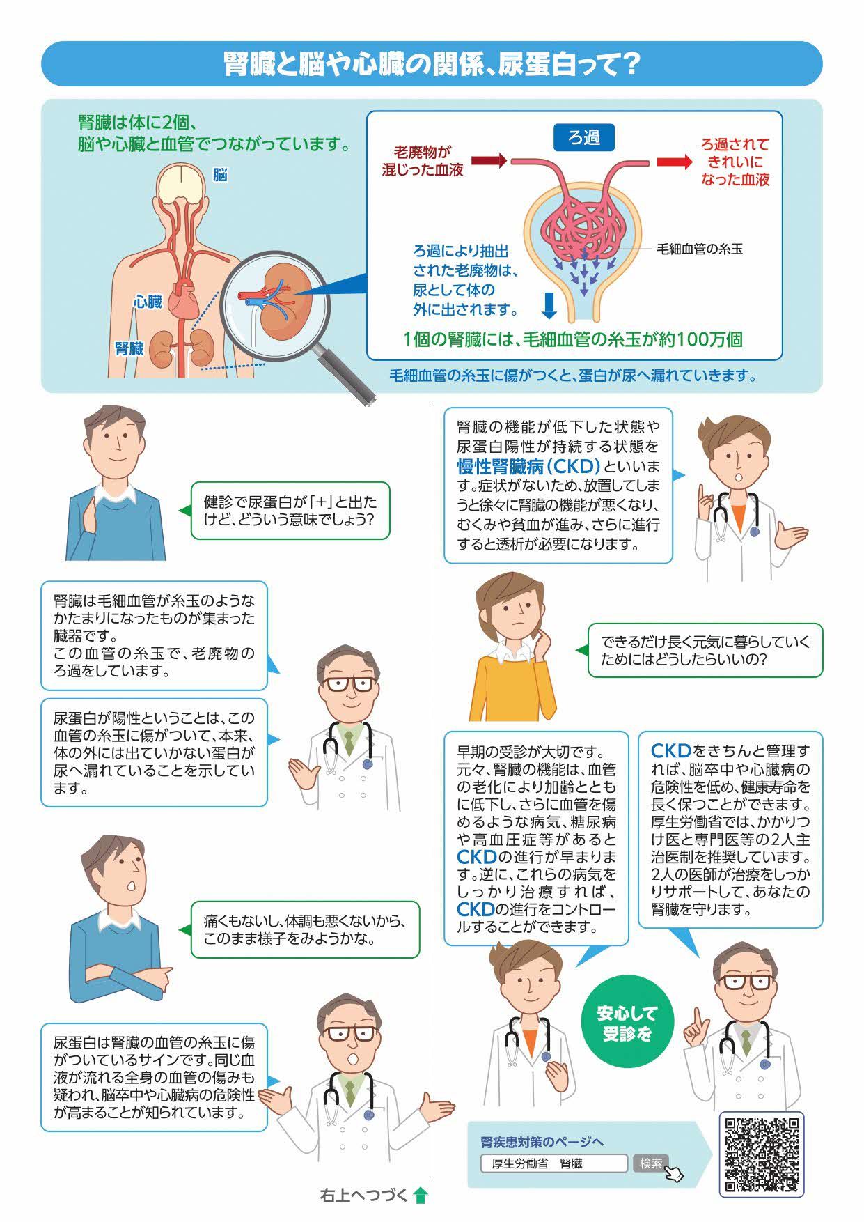 CKD啓発リーフレット２ページ目