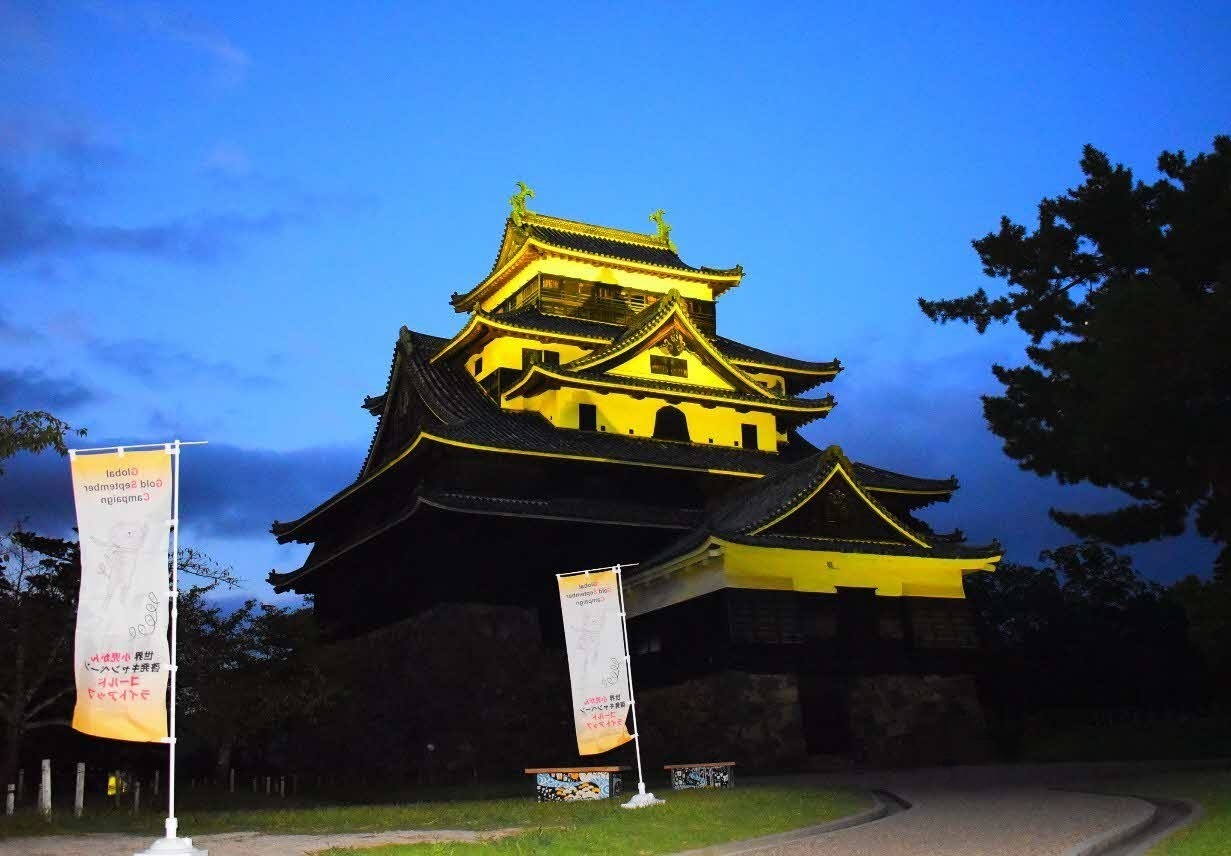 松江城ゴールドリボン色（金色）ライトアップ写真