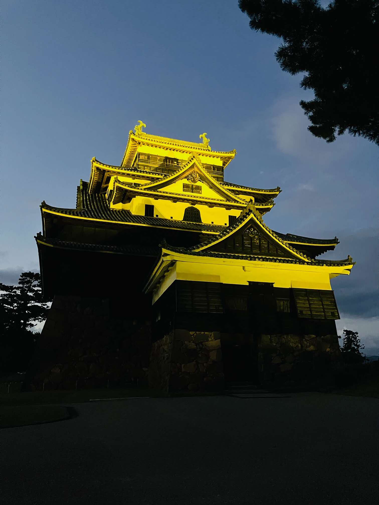 松江城ゴールドリボン色（金色）ライトアップ写真