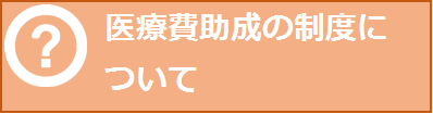 医療費助成の制度について