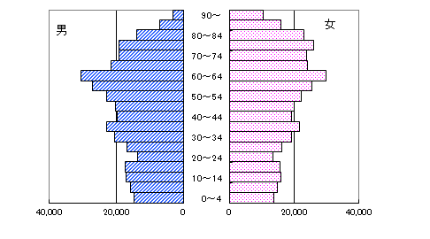 2010人口構成
