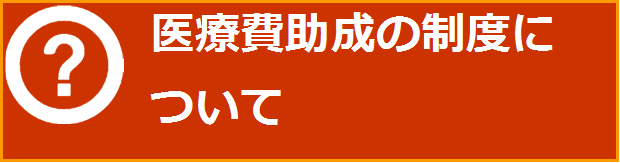 医療費助成の制度について