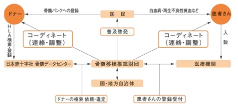 登録流れ