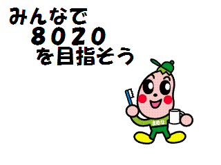 8020