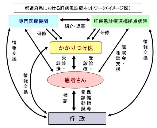 都道府県における肝疾患診療ネットワーク（イメージ図）