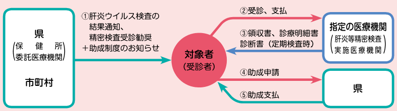 肝炎精密検査助成フロー図