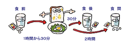 食前とは食事前１時間から３０分のこと、食後とは食事後３０分以内のこと、食間とは食事から2時間以上空けた空腹時を指します。