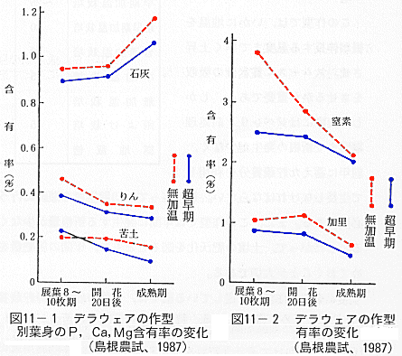 図１１作型別５要素含有率