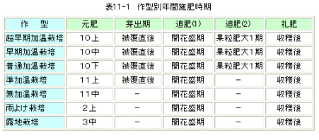 施肥時期