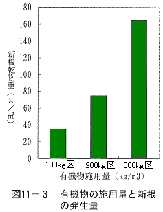 新根の発生