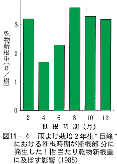 乾物重