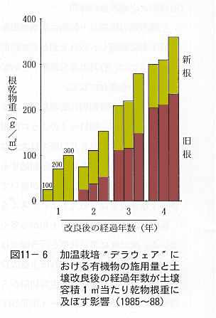 経過年数