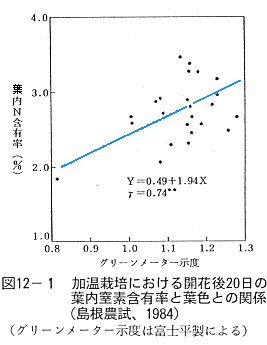 図１２葉内窒素含有率と葉色との関係