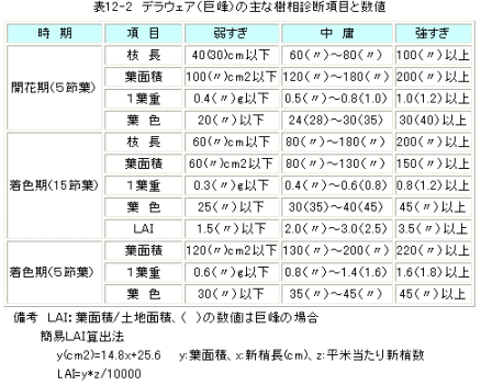 樹相診断