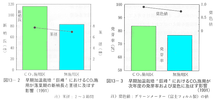 早期加温