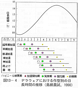 図１３作型別の日長時間の推移