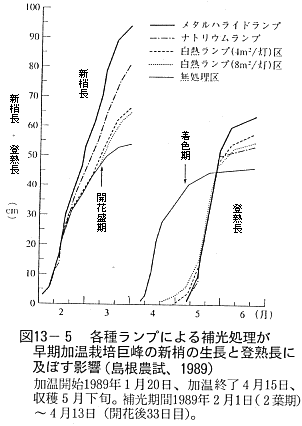 ランプ