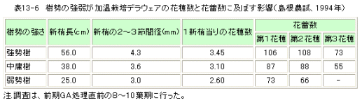 樹勢