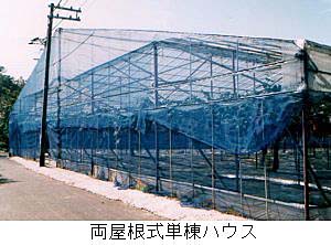 両屋根式単棟ハウス