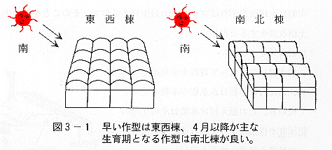 ハウスの向き