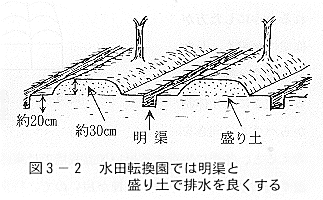 盛り土