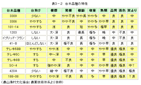 台木品種