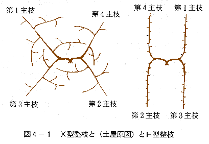 整枝法