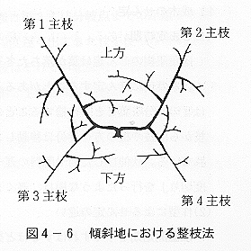 傾斜地