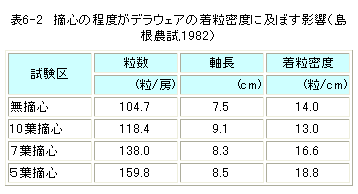 着粒密度