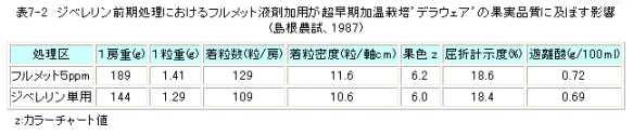 フルメットと果実