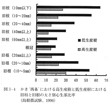 図３の４、高生産樹と低生産樹における枝と根の太さ