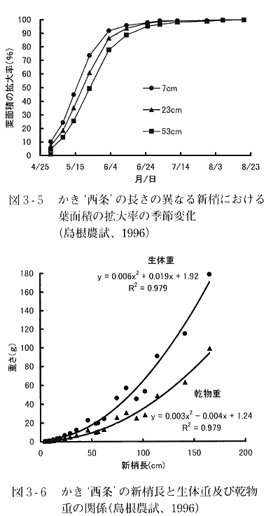 新梢の伸び