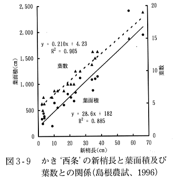 図３の９新梢長と葉面積及び葉数との関係