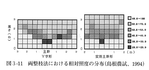 図３の１１両整枝法における相対照度の分布