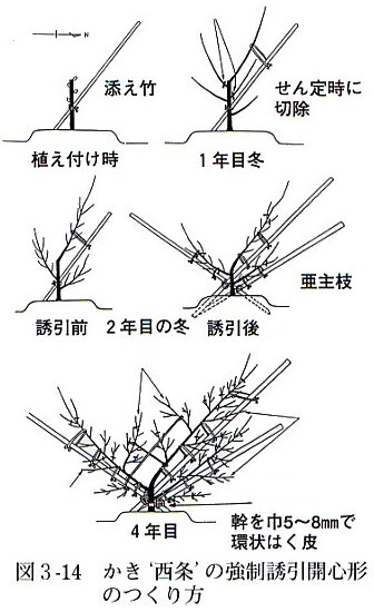 誘引法