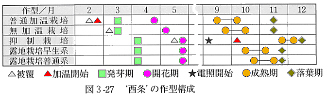 図３の２７西条の作型構成