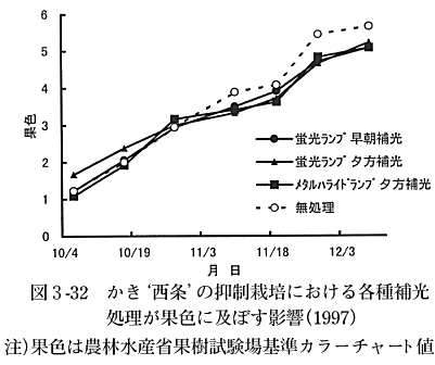 補光処理