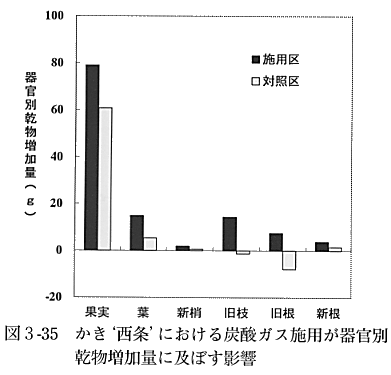 炭酸ガスと乾物重