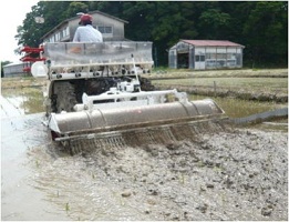 チェーン器具を取り付けた水田除草機によるほ場試験