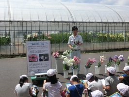 花の栽培ハウス見学状況１