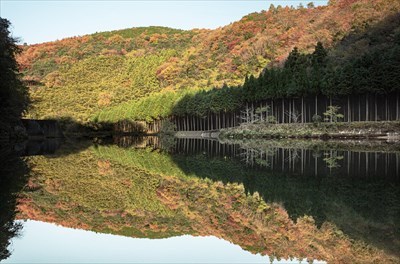 緑化推進