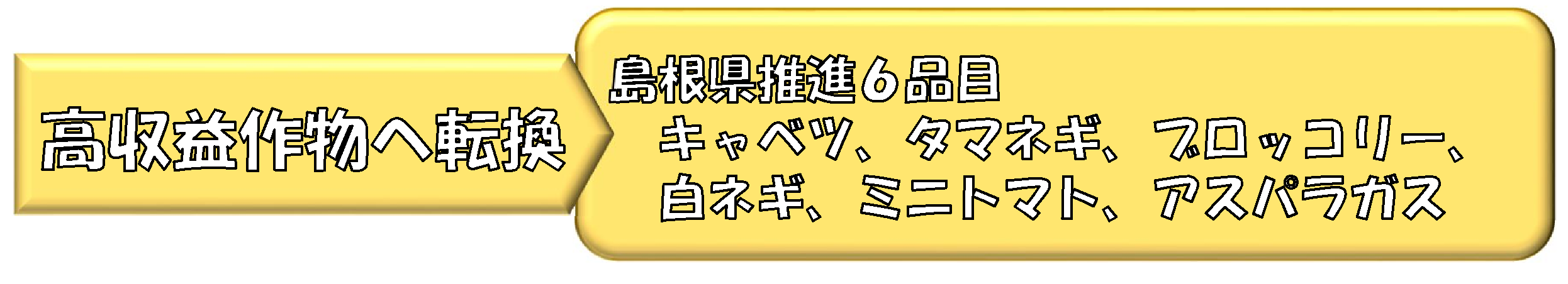島根県推進６品目キャベツ、タマネギ、ブロッコリー、白ネギ、ミニトマト、アスパラガス