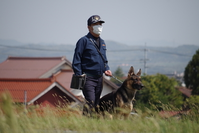 島根県警察 警察犬の紹介
