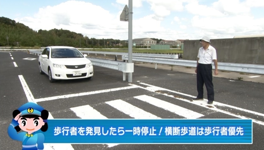 道路横断中の事故防止の画像