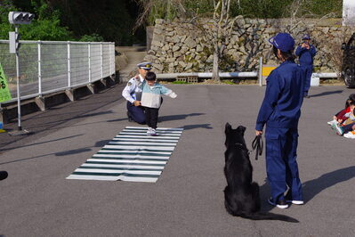 ワンワンあんぜん教室１