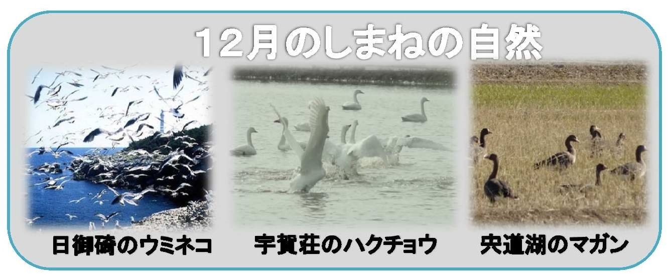 左から龍頭が滝、アカショウビン、カジカガエル