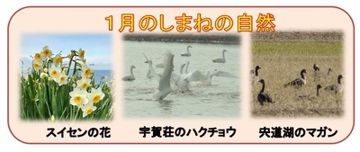 1月のしまねの自然