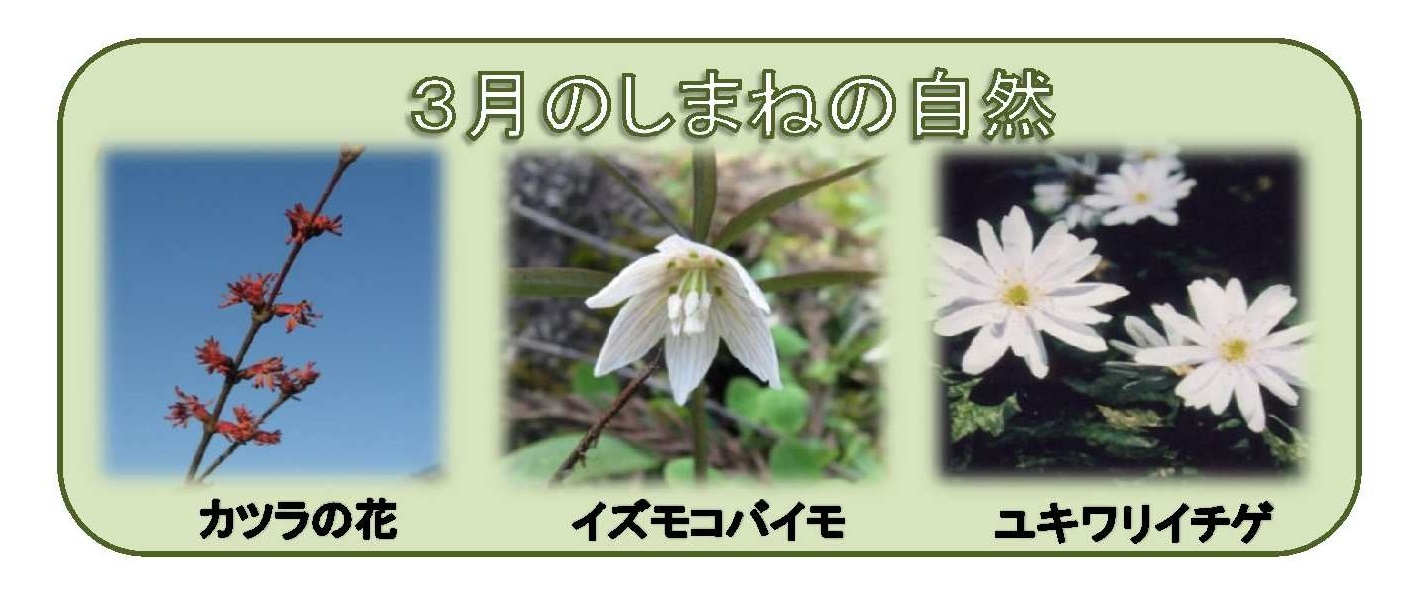 3月のしまねの自然