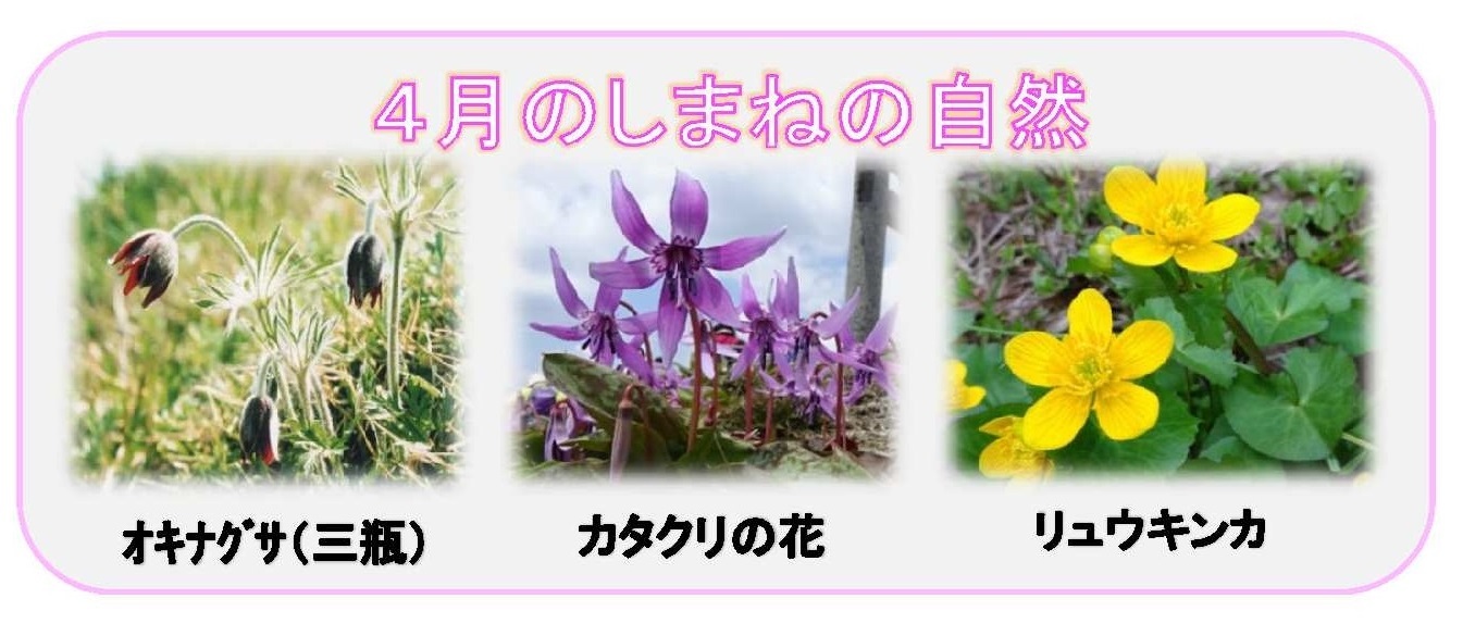 4月のしまねの自然