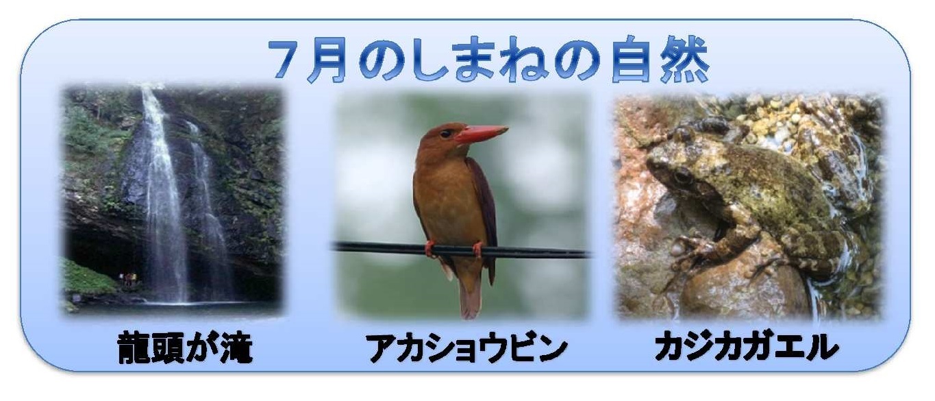 7月のしまねの自然